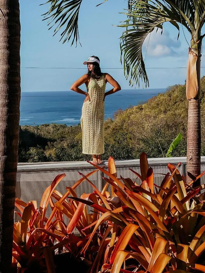 Apartment Casa Loba Suite 2 At 413 With Private Pool Rincon